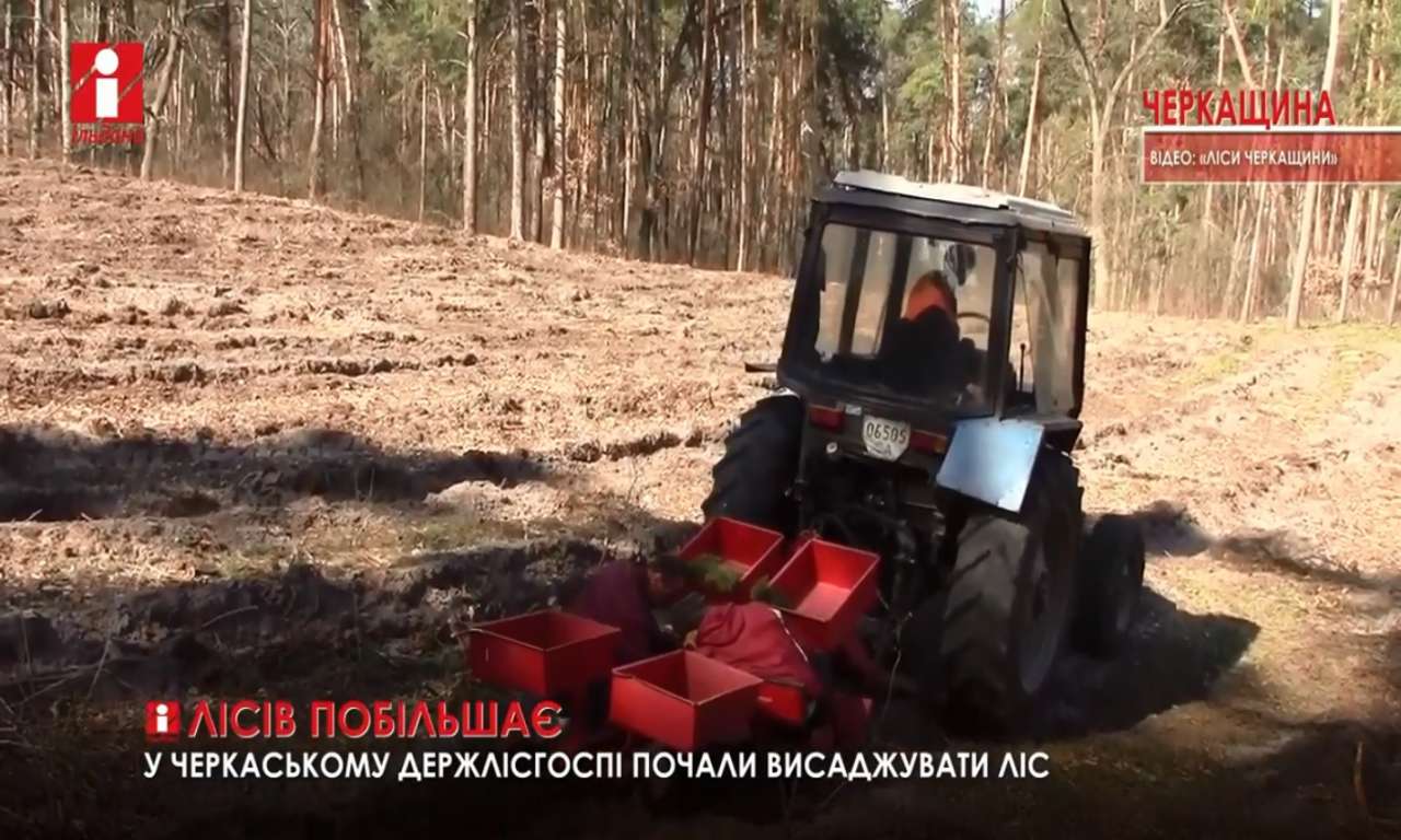 У Черкаському держлісгоспі висадять понад 170 гектарів лісу переважно механізованим способом (ВІДЕО)